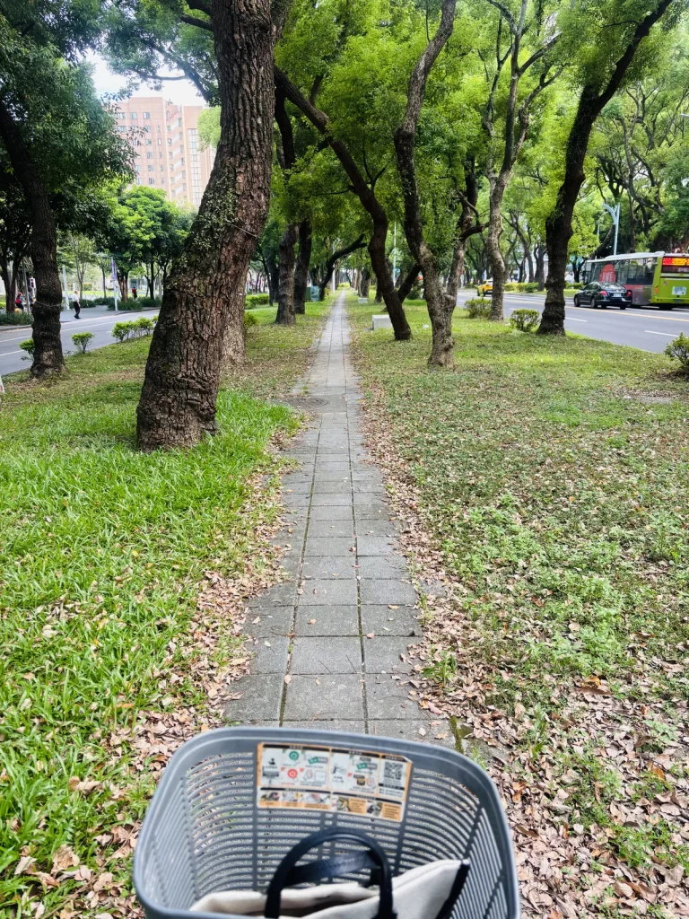 Tree-lined path seen from a YouBike basket in Taipei