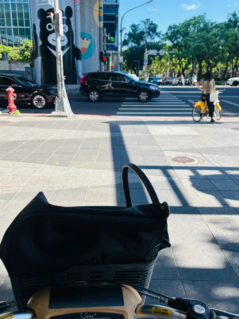 Taiwanese black bear mural and zebra statue seen from a YouBike basket in Taipei