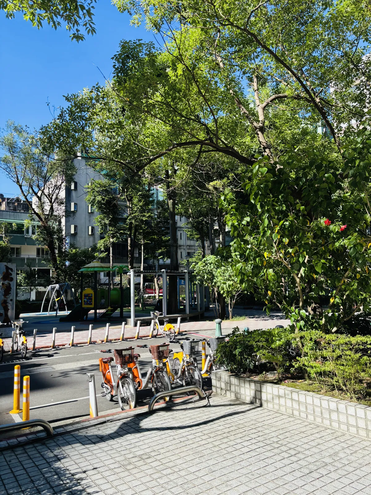 YouBike Journey: A Super-Random Day of Drinks, Food, and Taipei Neighborhoods